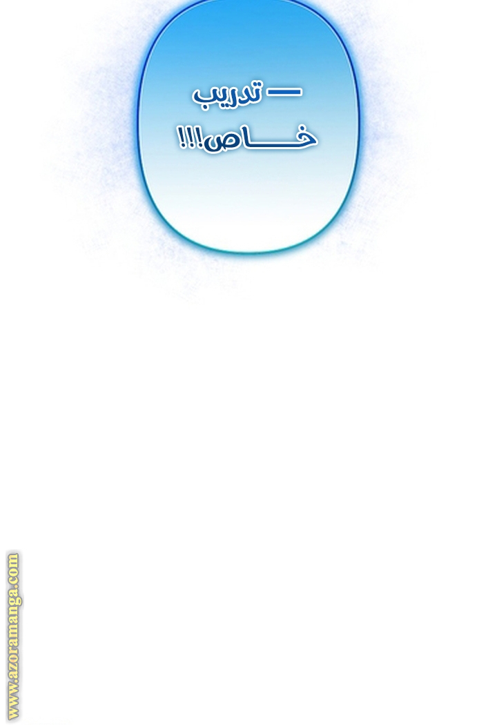 الصفحة 41