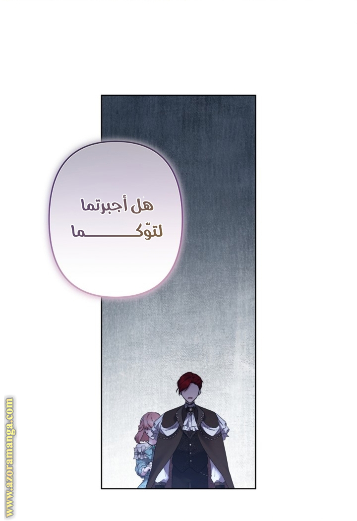 الصفحة 41