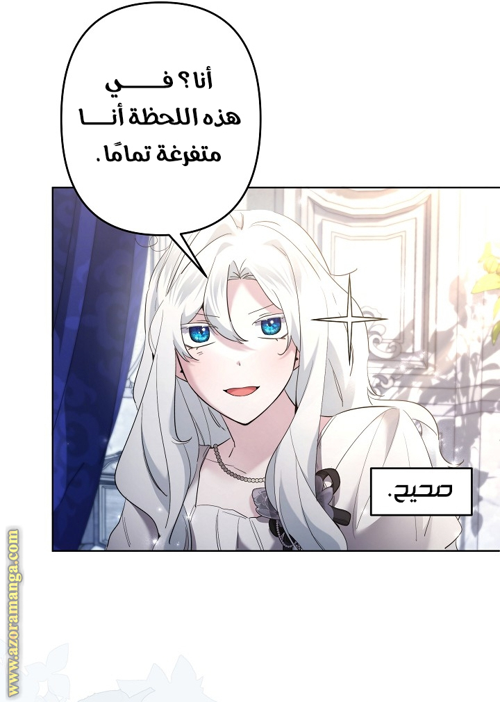 الصفحة 29