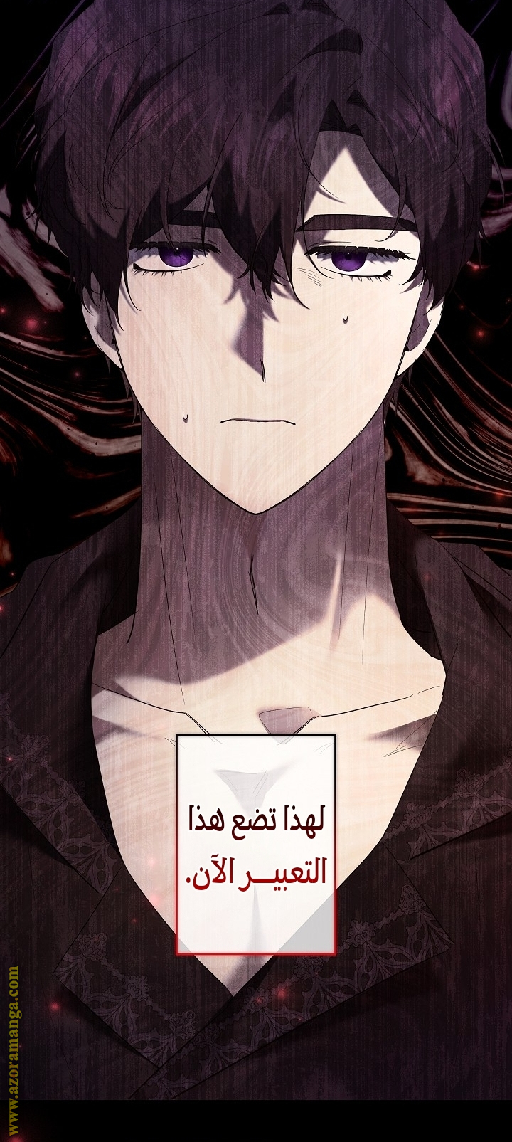 الصفحة 11