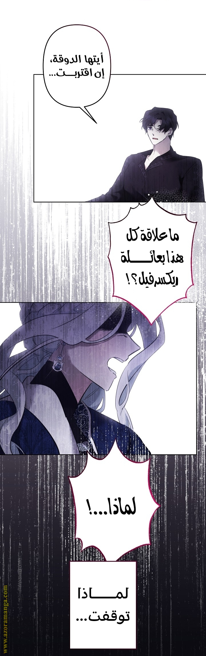 الصفحة 41