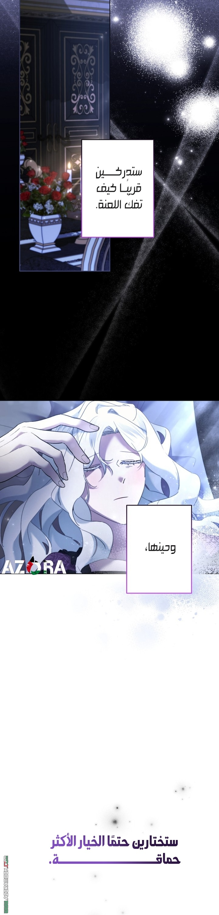 الصفحة 13