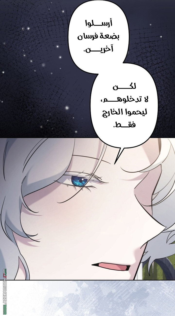 الصفحة 21