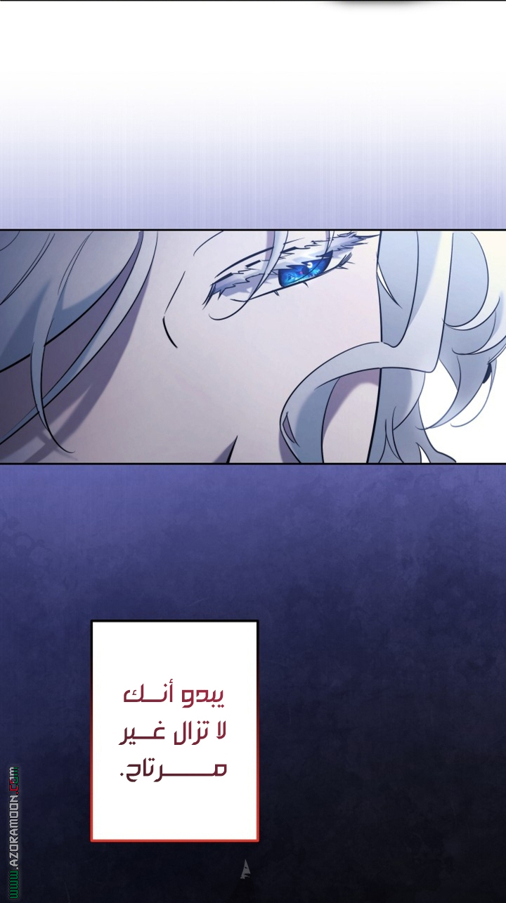 الصفحة 25