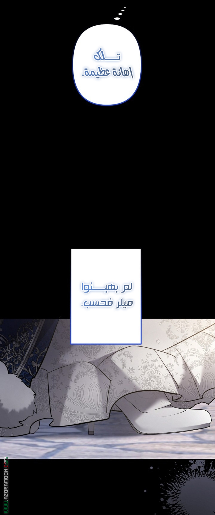 الصفحة 28