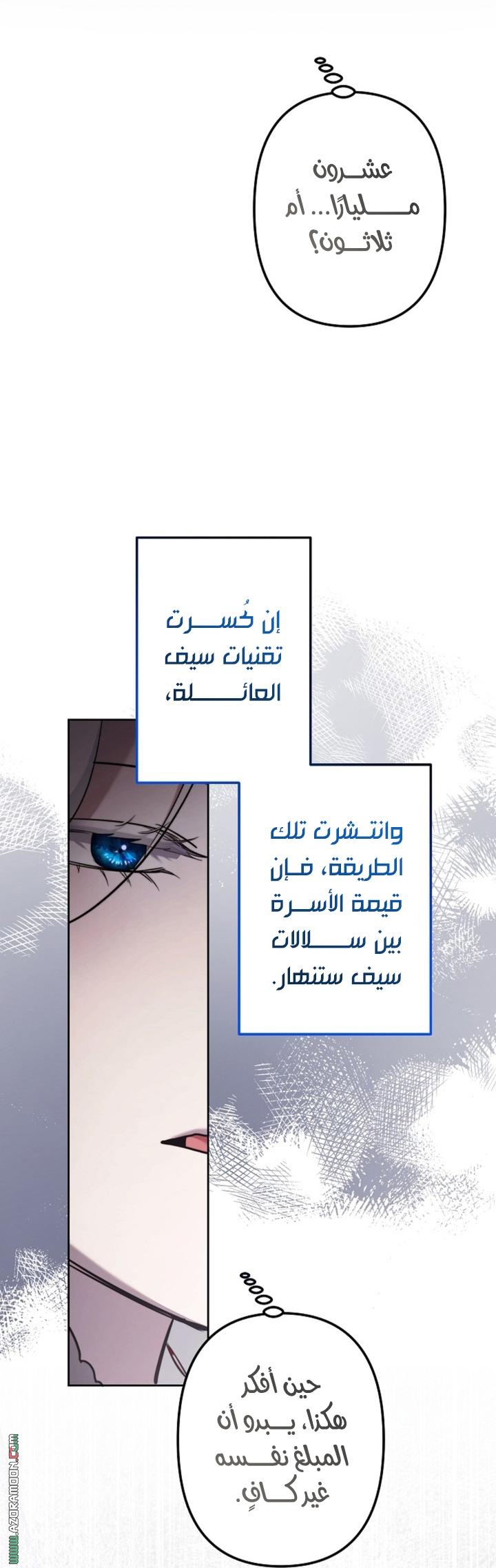 الصفحة 17