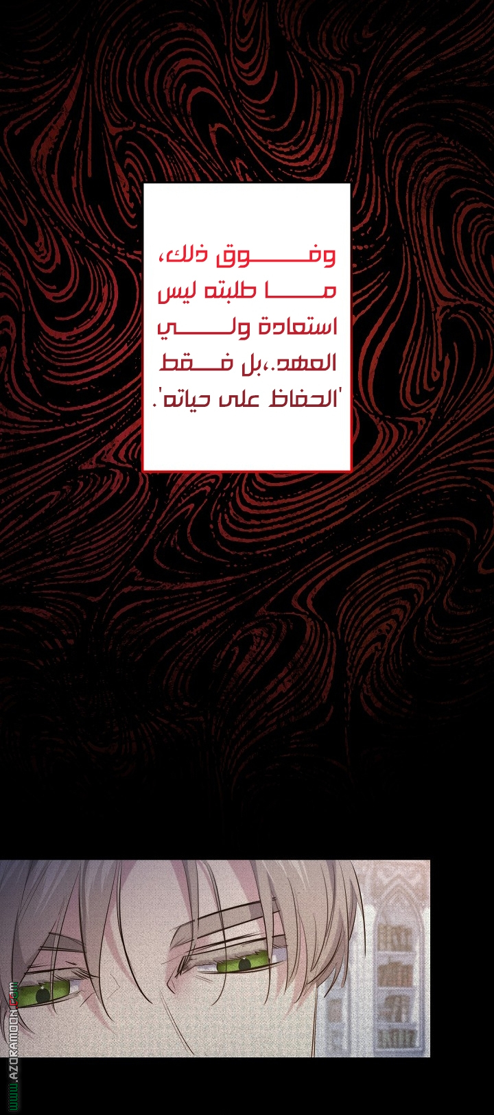 الصفحة 29