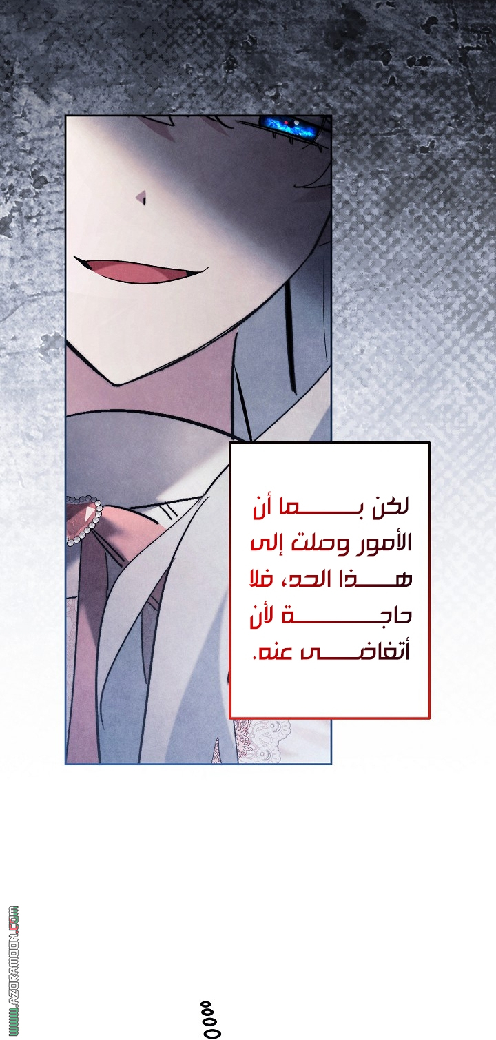 الصفحة 47