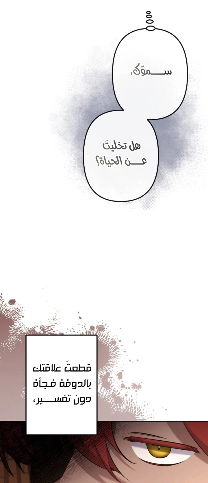 الصفحة 20