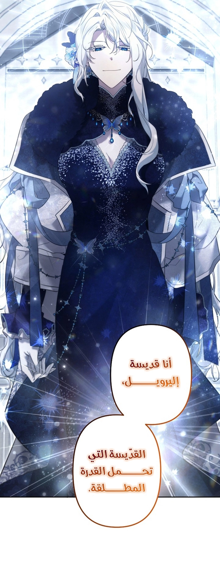 الصفحة 22