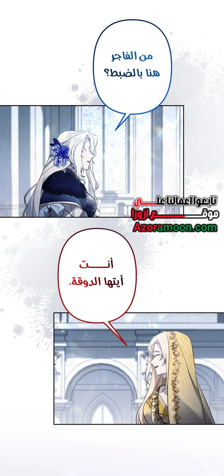 الصفحة 25