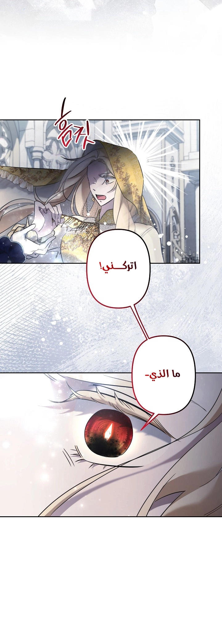 الصفحة 19