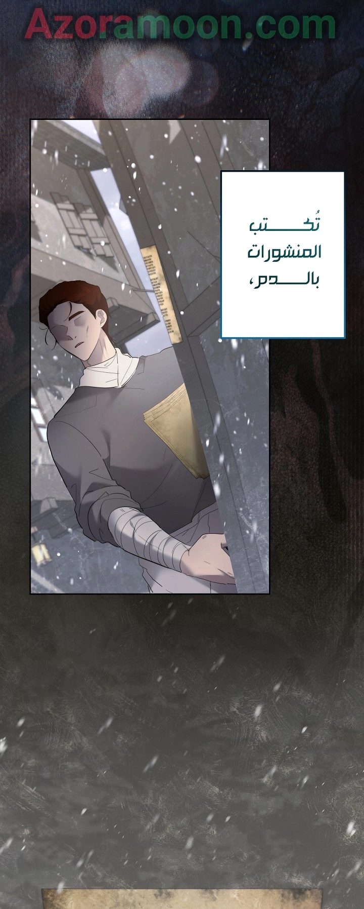 الصفحة 13