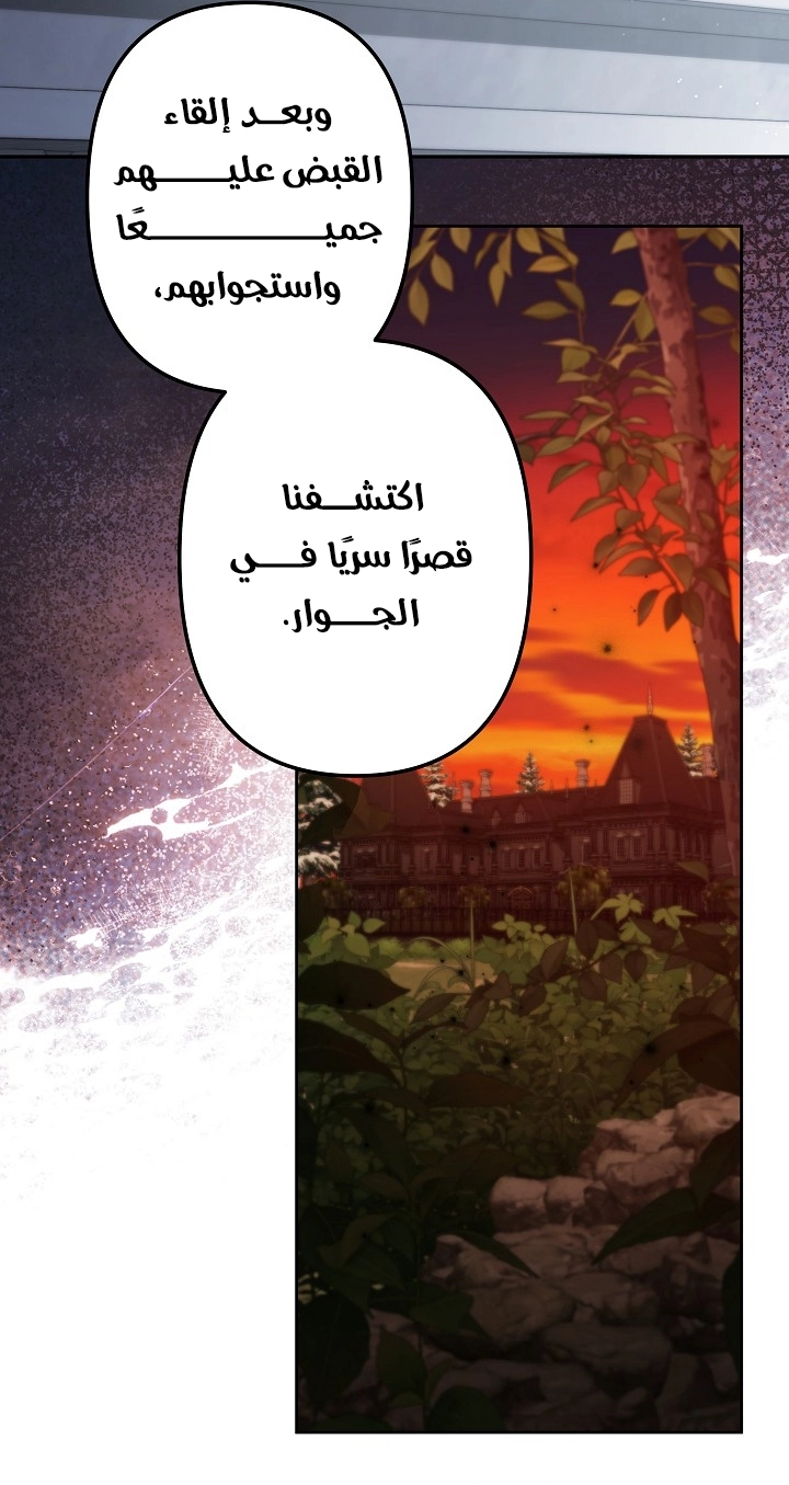 الصفحة 24