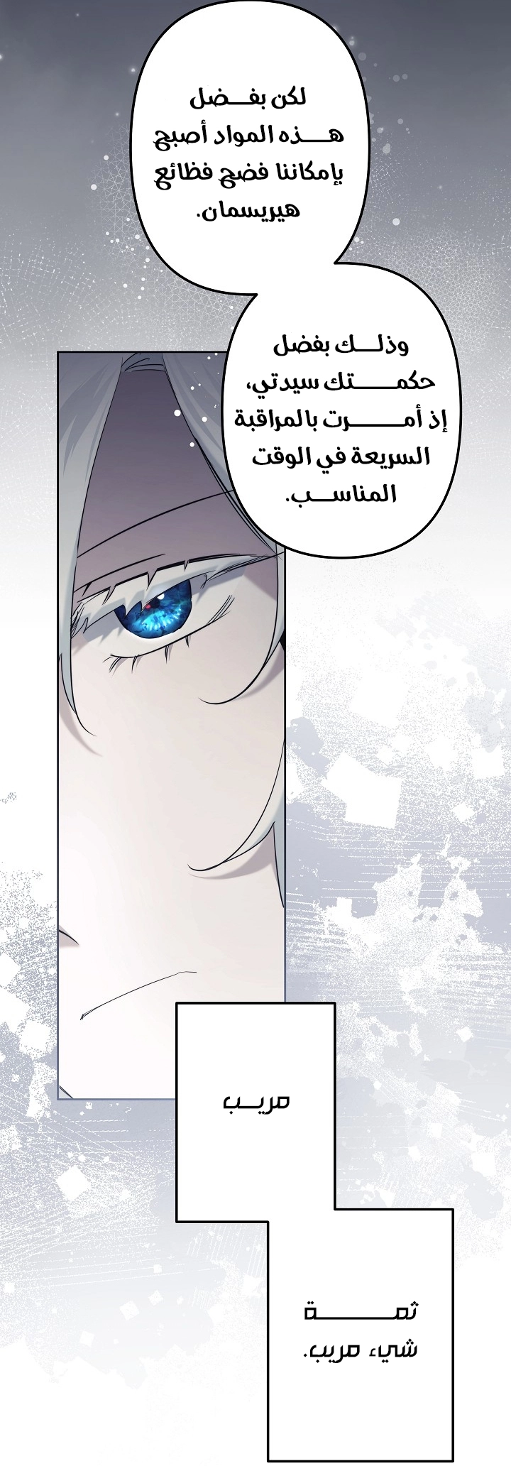 الصفحة 28