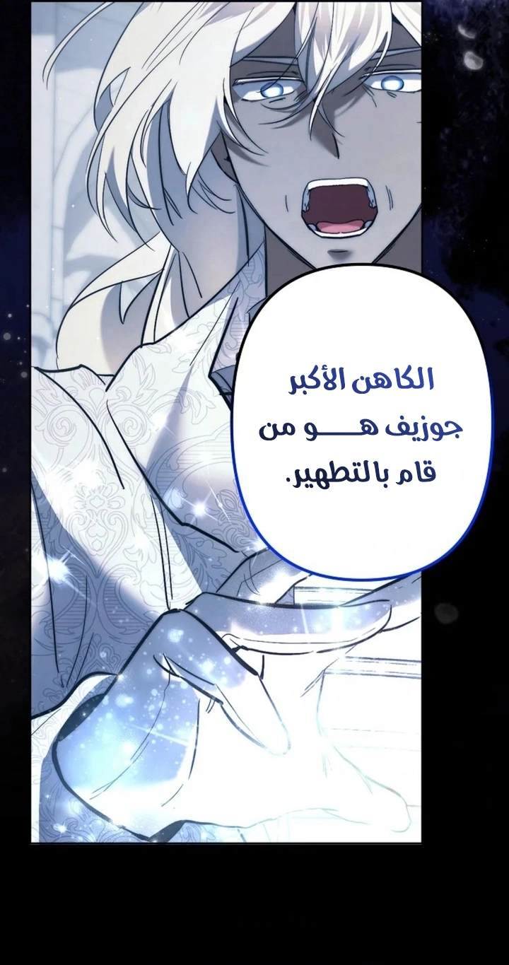 الصفحة 39