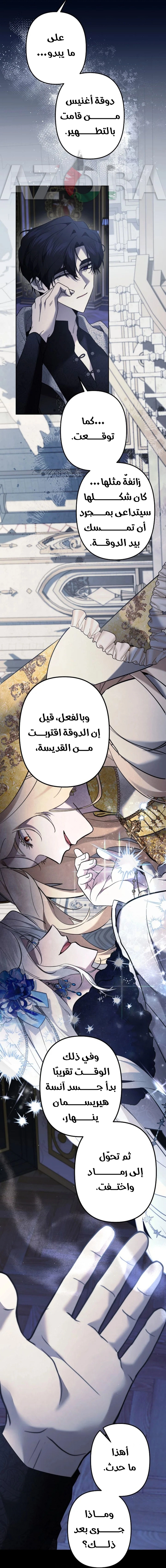 الصفحة 41