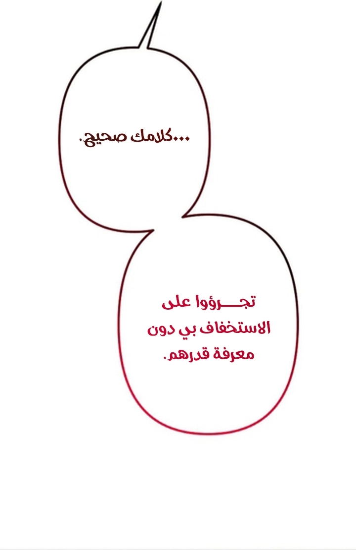 الصفحة 28