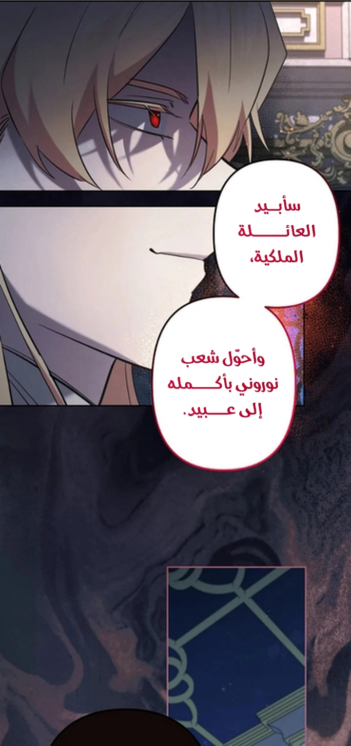 الصفحة 29