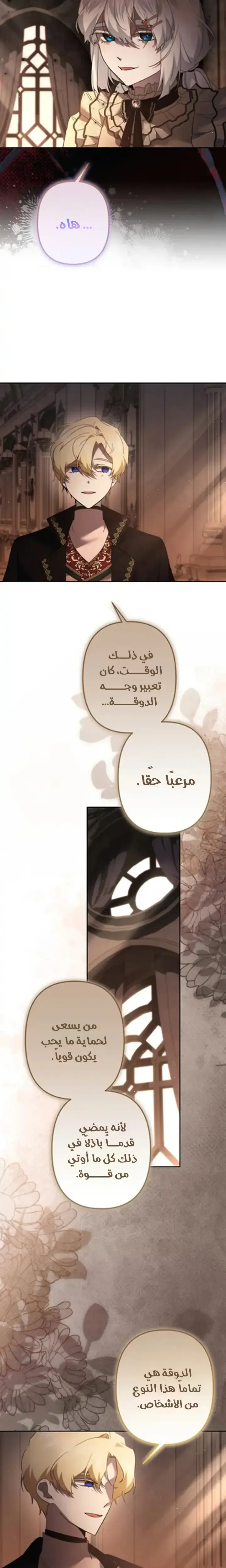 الصفحة 13