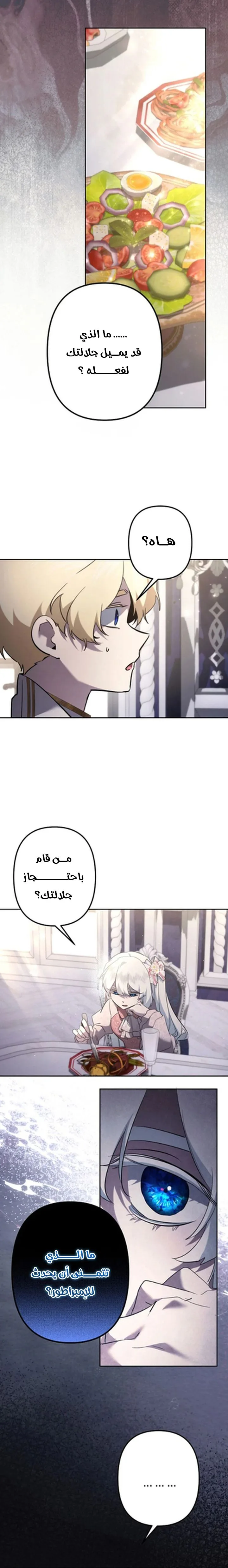 الصفحة 17