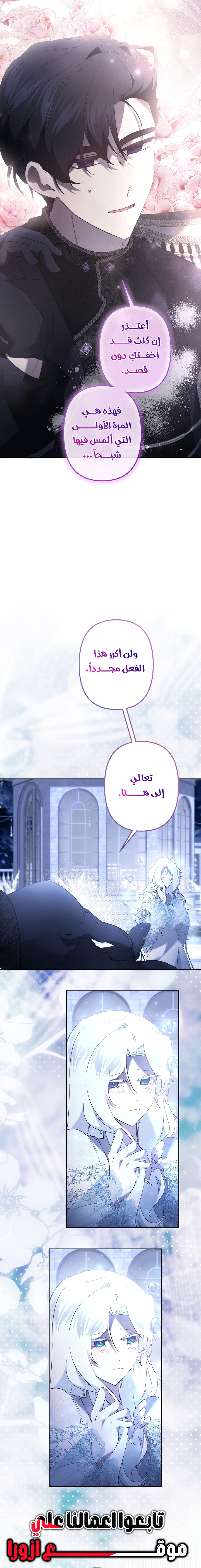 الصفحة 17