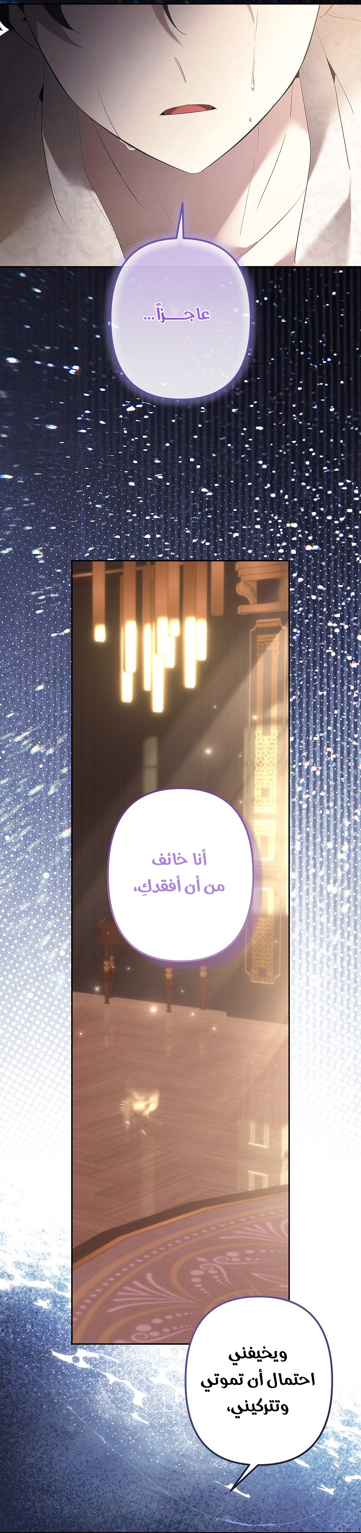 الصفحة 11