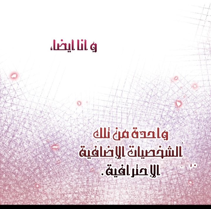 الصفحة 20
