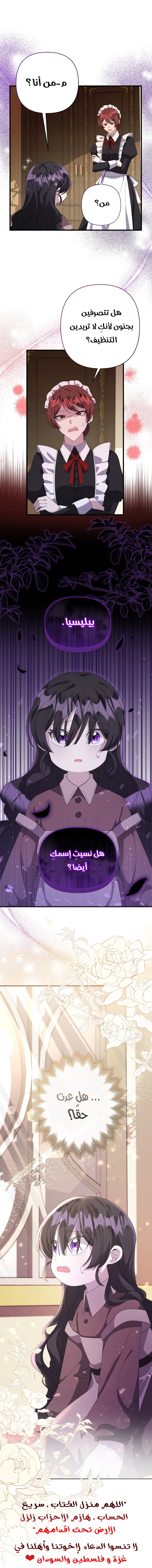 الصفحة 37