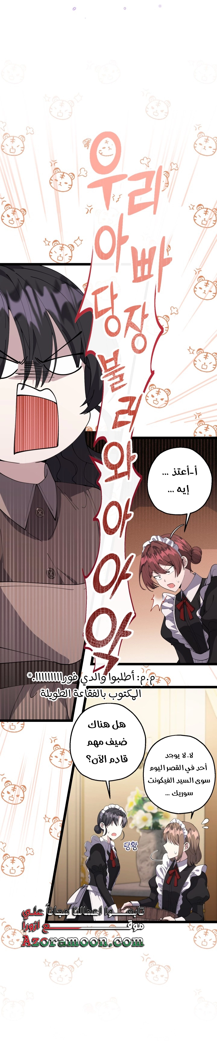 الصفحة 17