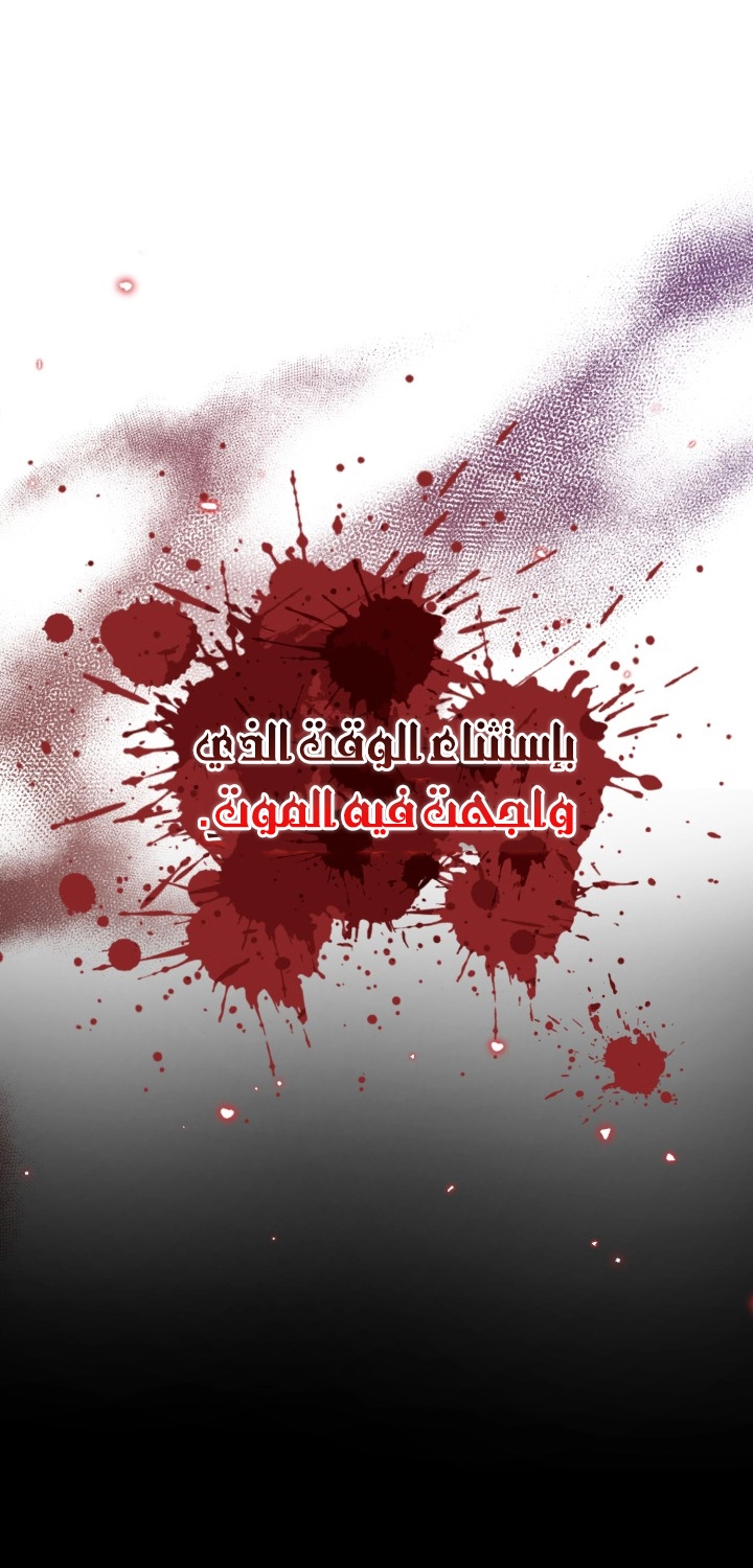 الصفحة 27