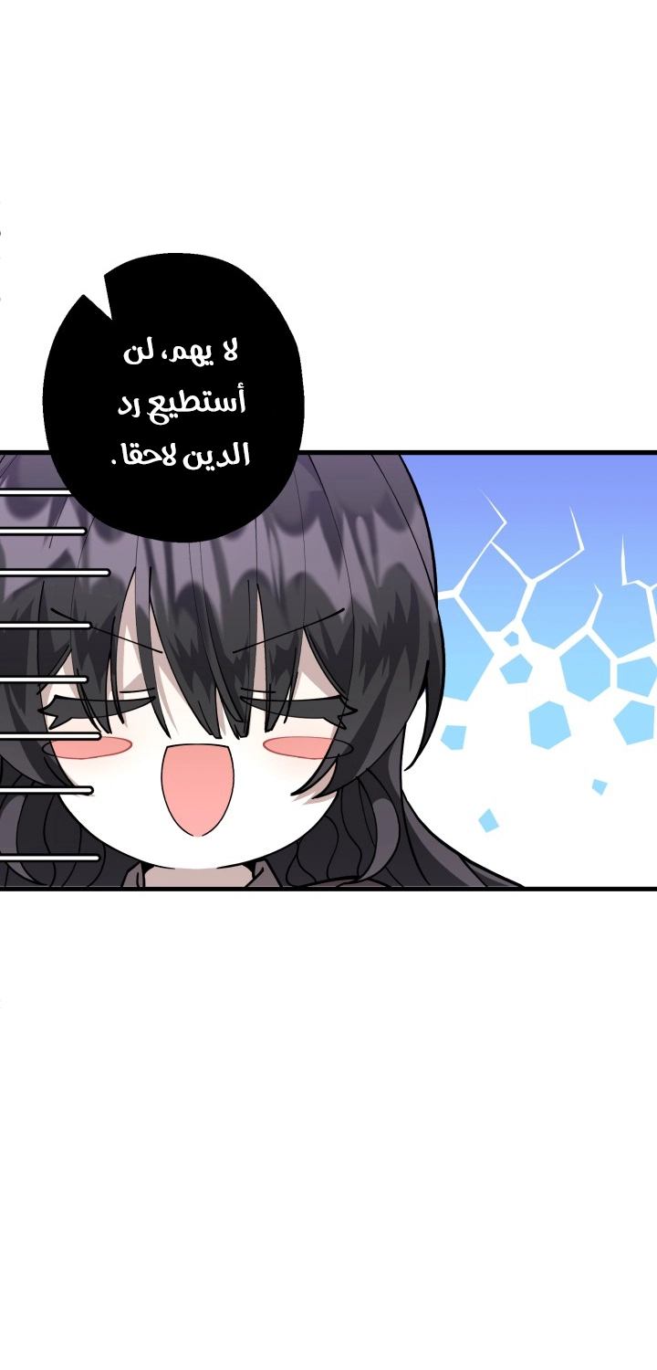 الصفحة 29