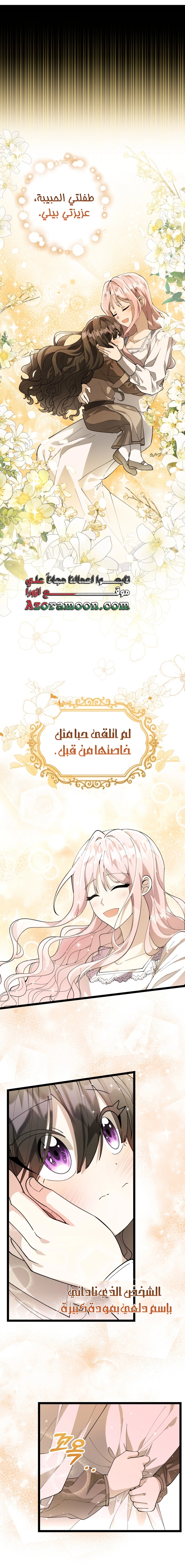 الصفحة 41