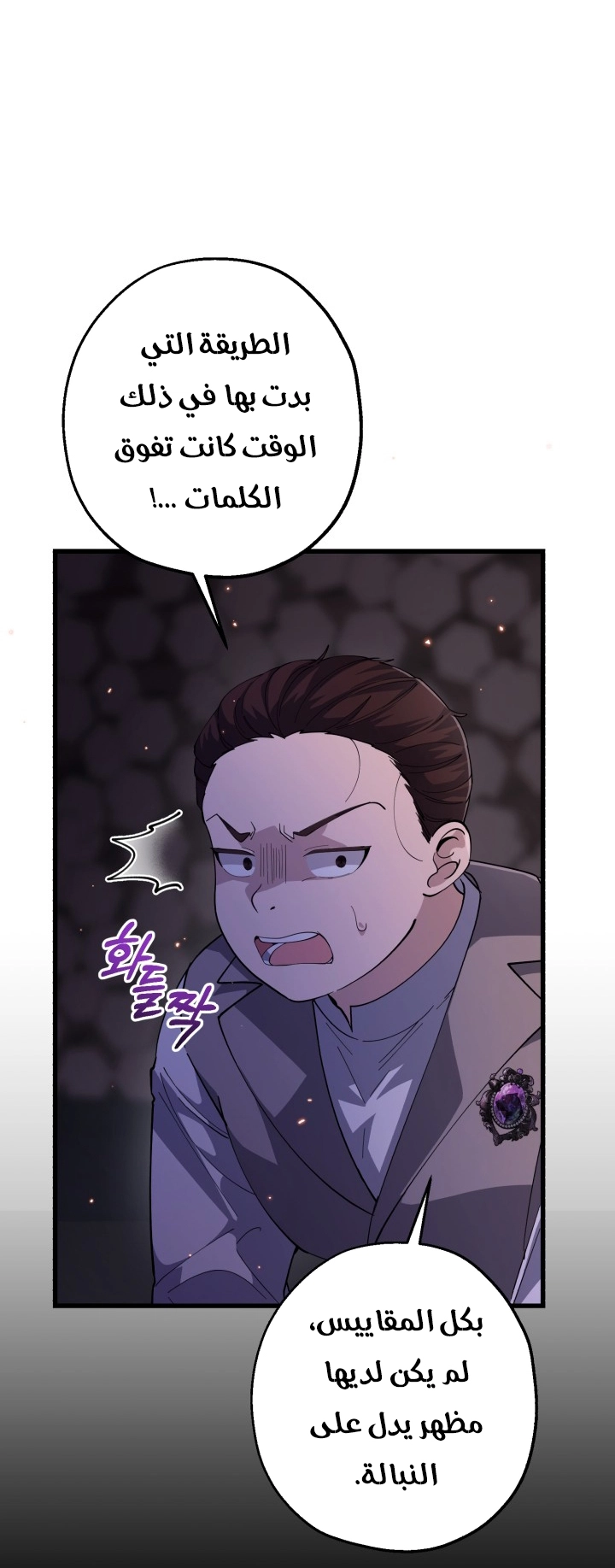 الصفحة 25