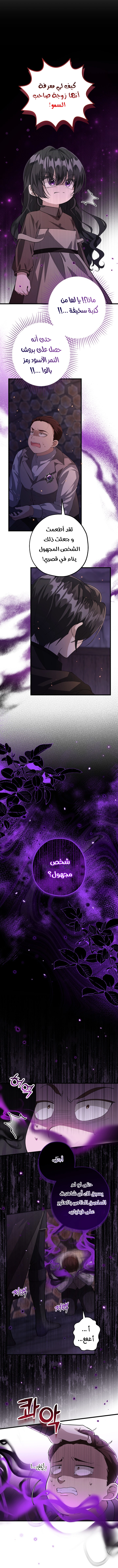 الصفحة 26