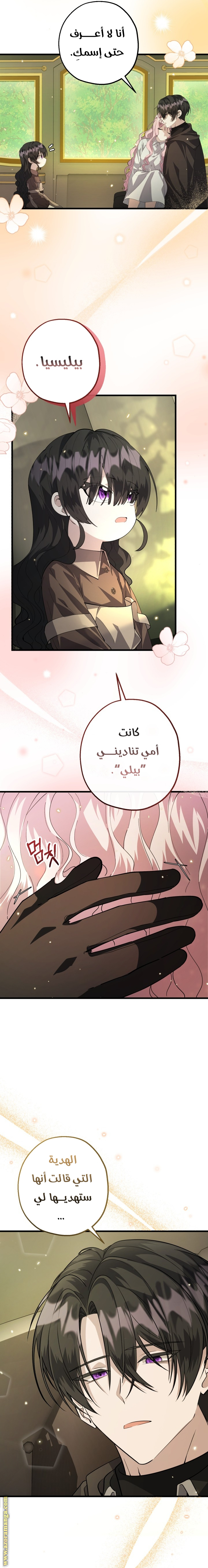 الصفحة 8