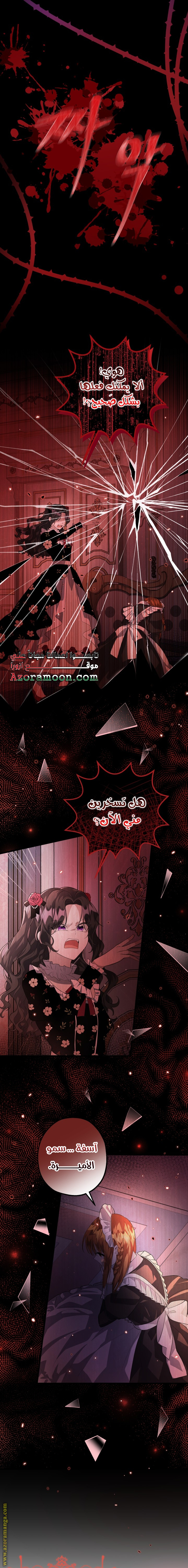 الصفحة 17