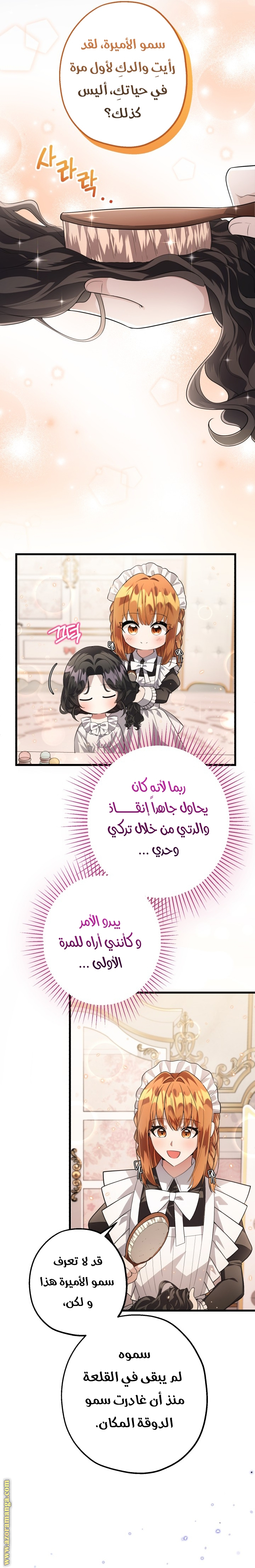 الصفحة 29