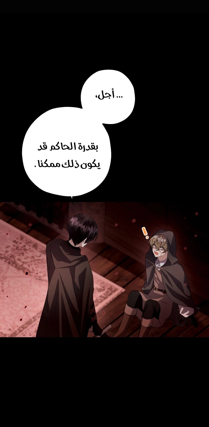الصفحة 25