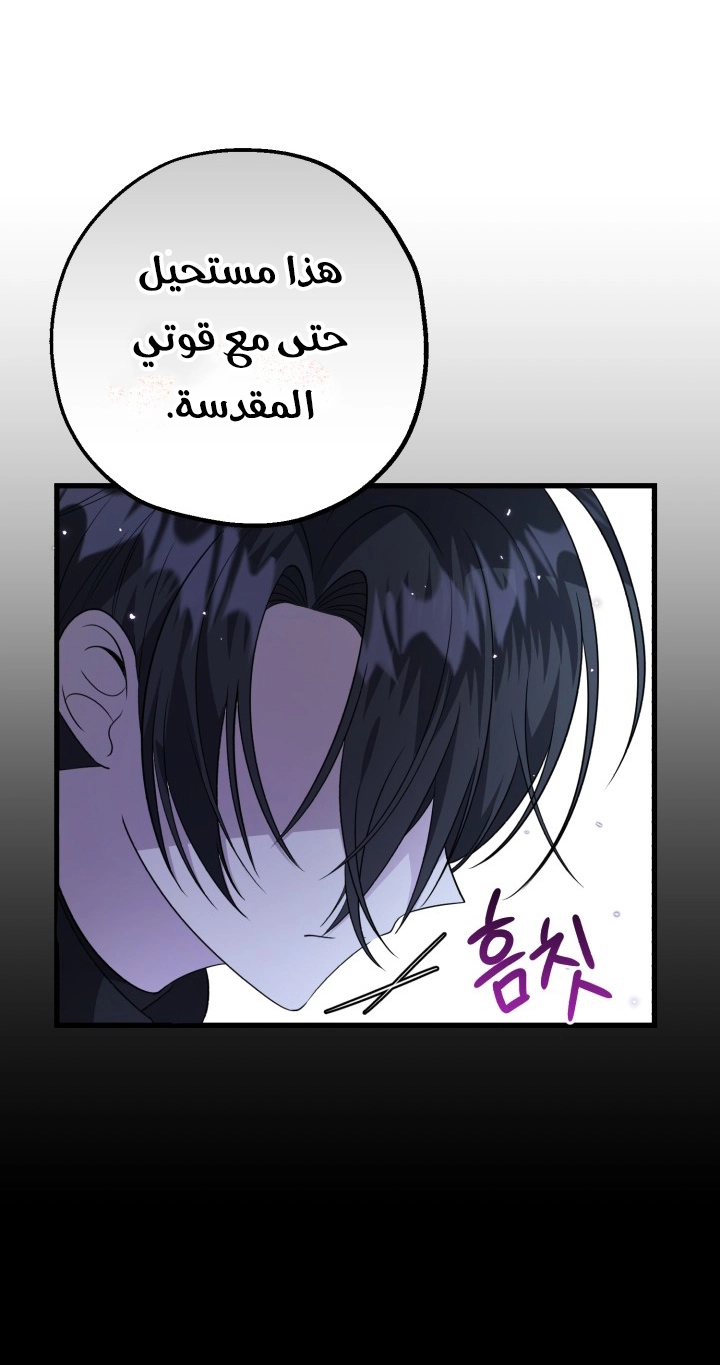 الصفحة 31