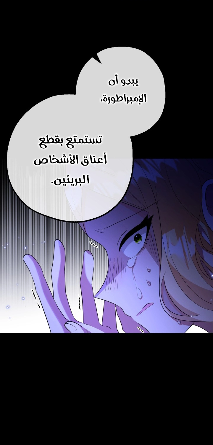الصفحة 35