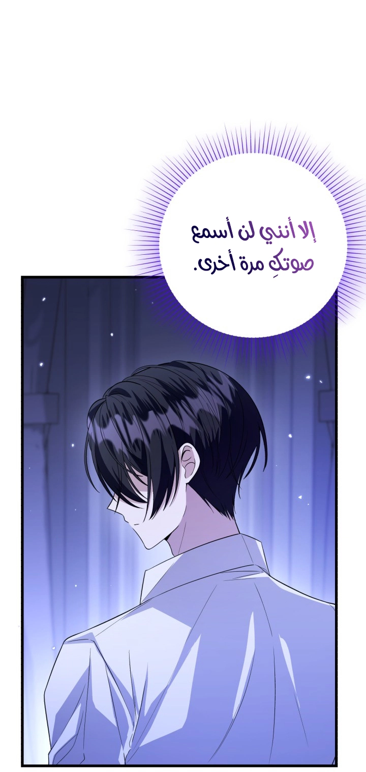 الصفحة 48