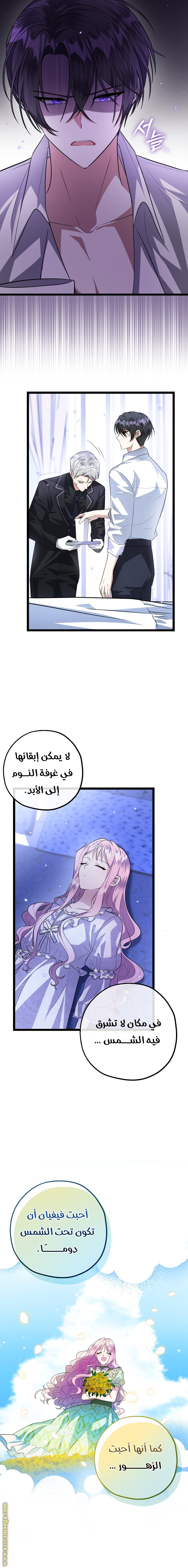 الصفحة 13