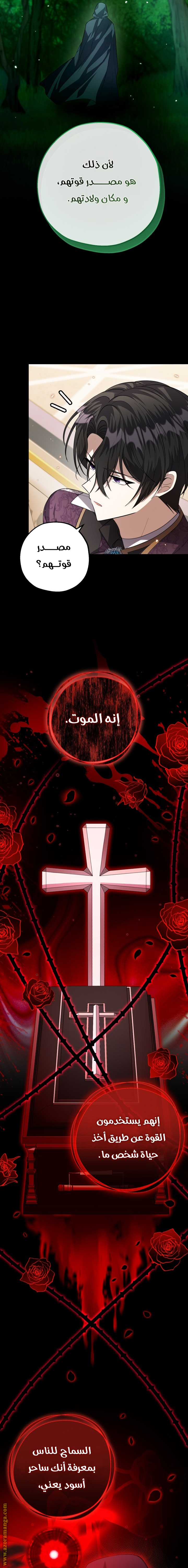 الصفحة 25