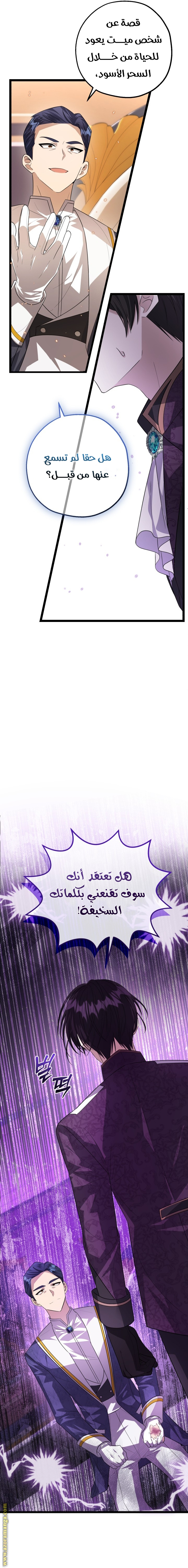 الصفحة 27