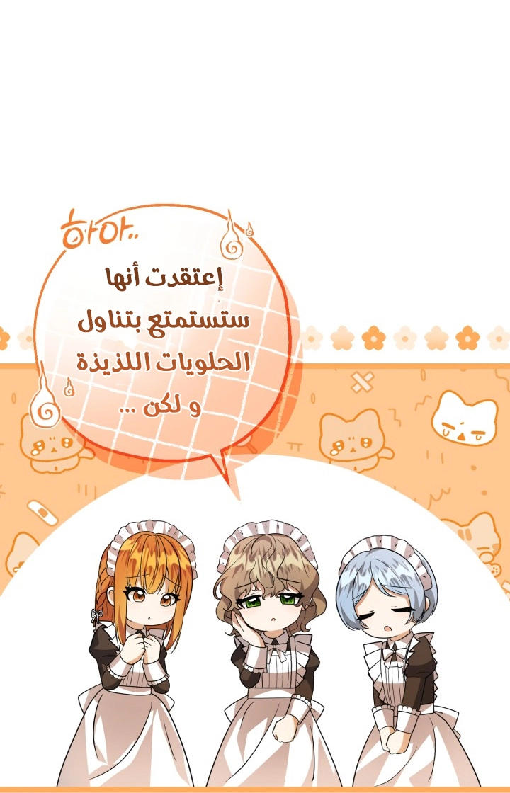 الصفحة 27