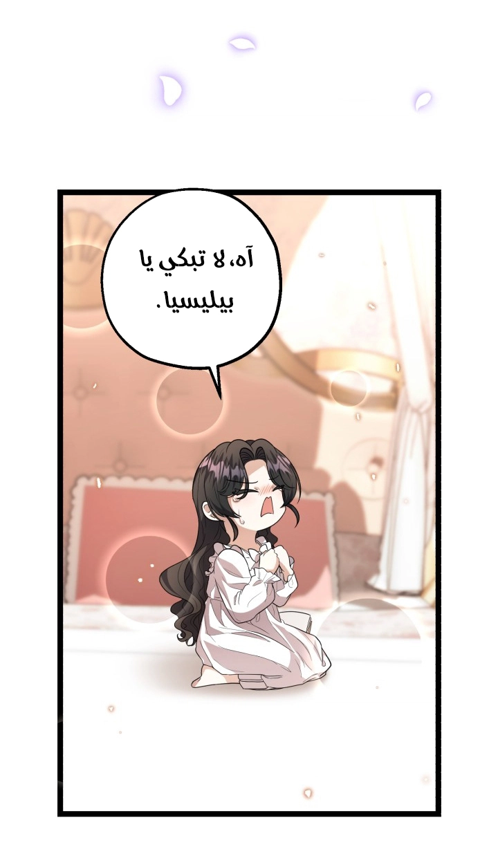 الصفحة 43