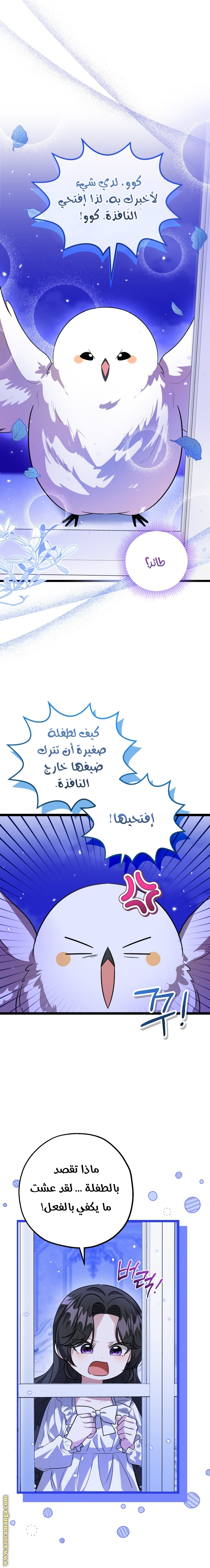 الصفحة 22
