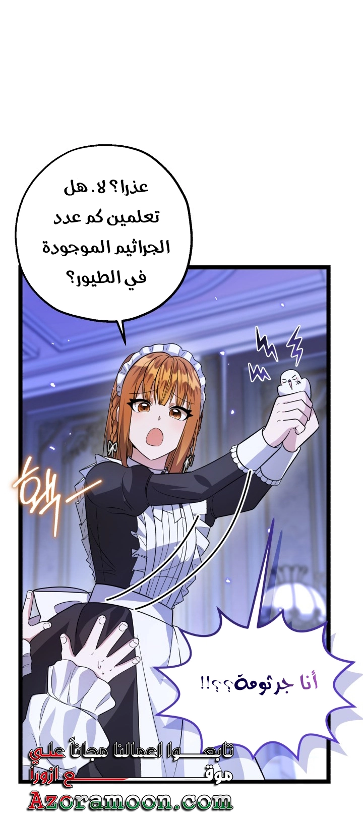 الصفحة 5