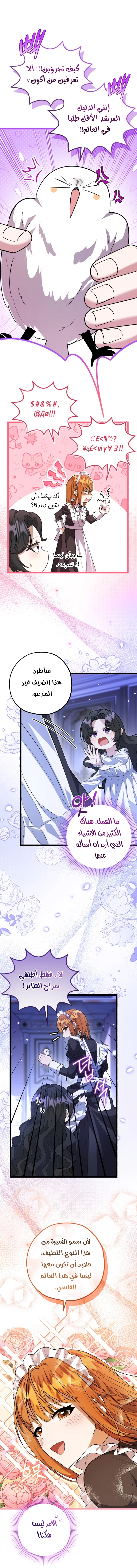 الصفحة 6